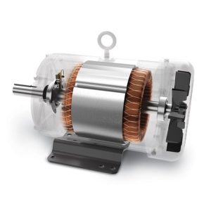 Custom-Made NEMA Motors
