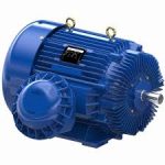 Marathon Explosion-Proof Motor